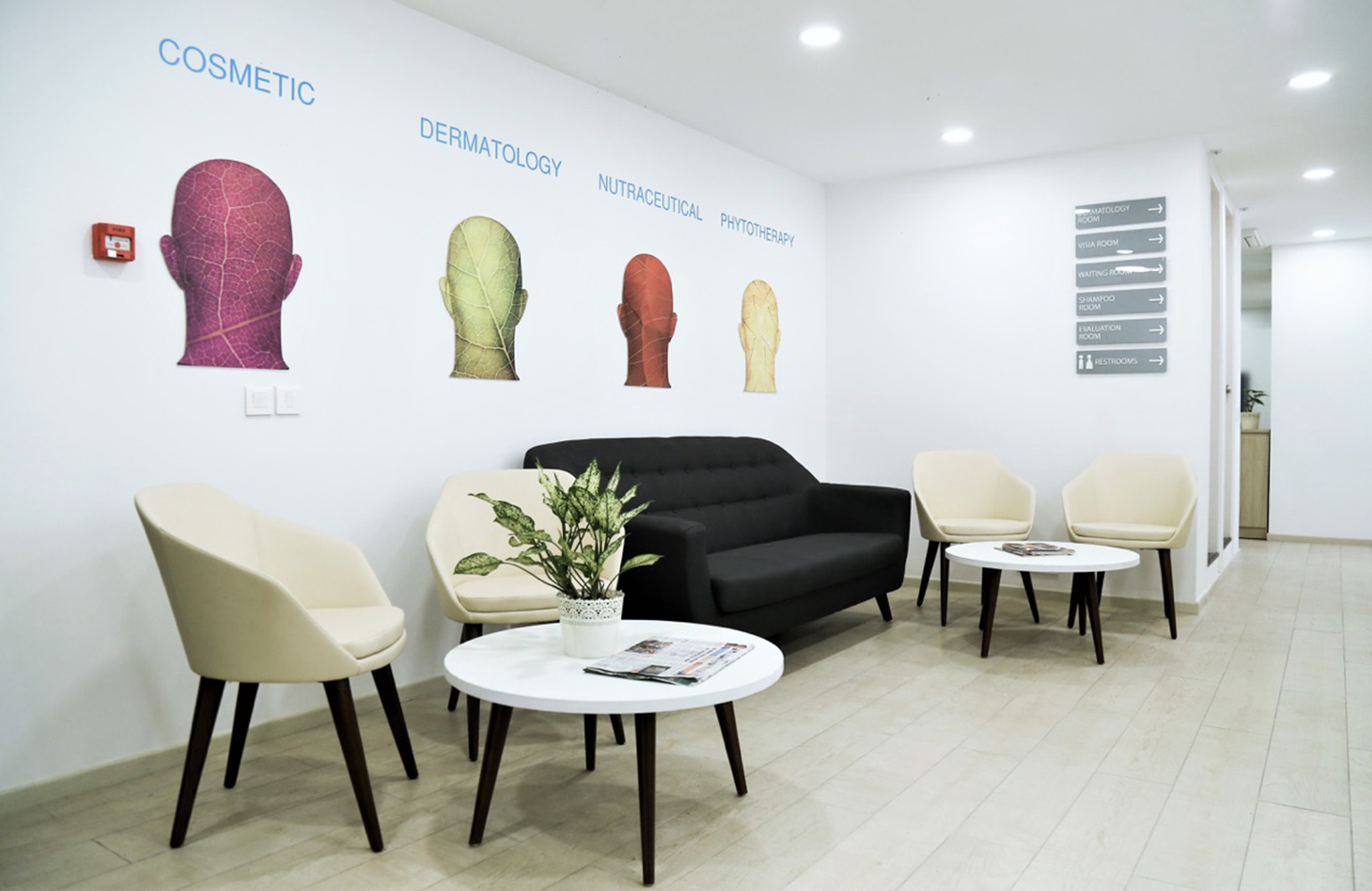 Going clinical with signage at this skincare clinic!