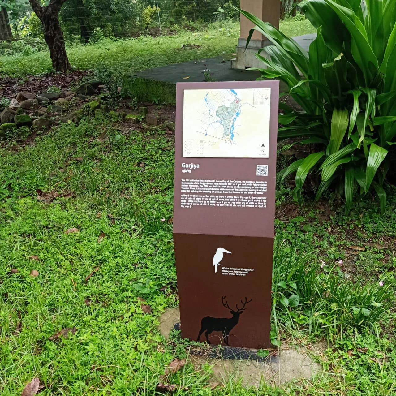 corbet-tiger-reserve (2)